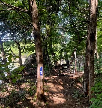 #13 Steps to the Next Trail Foto stock