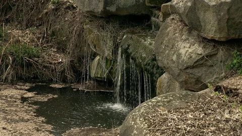 13-Turtle Waterfall 库存影片 126630340