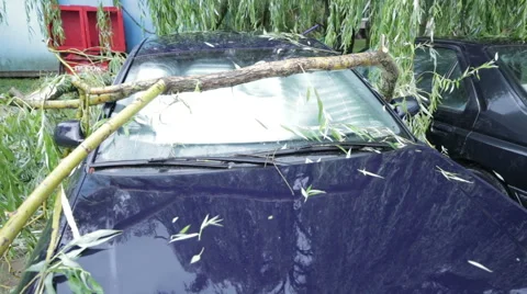 13.07.2016, Minsk, Belarus. The consequences of the hurricane in Minsk Stock Footage 64998853