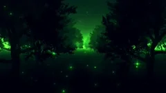 Green Enchanted Forest by Night VJ Loop Background