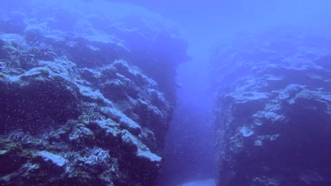 13082slow motion view Overlooked down onto the valley of coral reefs from bottom 库存影片 330428978