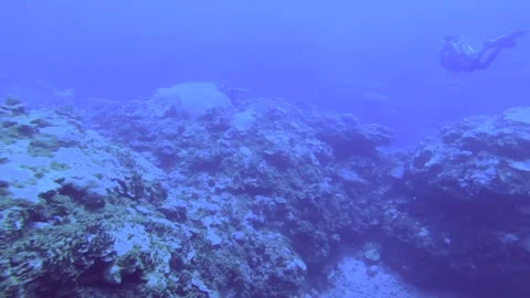 13090slow motion horizontal pane view look out onto the valley cliff of coral re 库存影片 330428501