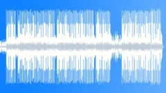 13.1 Stock Music