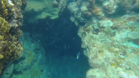 13121 slow motion Top to bottom of looking down snorkel close up view to various Stock Footage 337317960