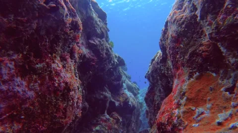 13129 still camera view underwater with a Caucasian female diving down into sea  Video stock 337317997