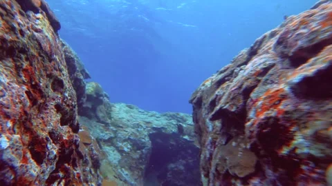 13130 diving down into sea ocean blue saltwater swimming through narrow passage  Stockbeeldmateriaal 337317044
