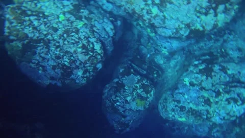 13162holding camera circle around view from underwater in the ocean sea salt wat Stock Footage 346377765