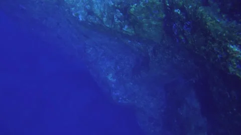 13165Diving down into deep blue ocean sea salt water under water world at where  Stock Footage 346379732