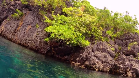 13263Free diver holding action camera on the ocean ripple surface look out to co Vídeo Stock 344146630