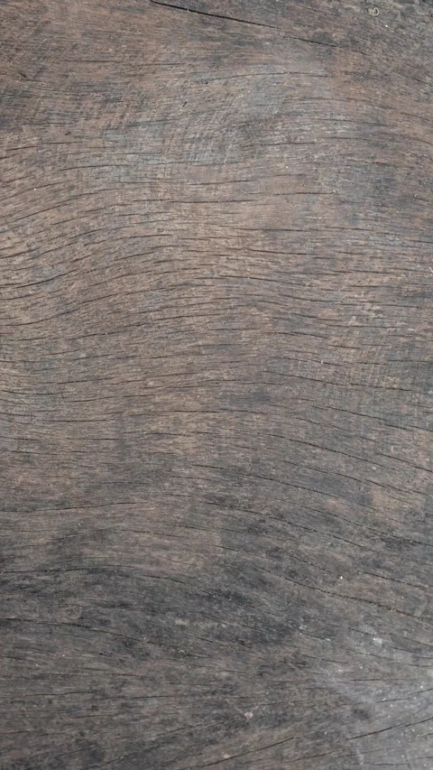133_Weathered wood grain texture pattern.mp4 Stock Footage 347229743