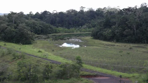 1374-Amazon-Deforestation-Mining-Brazil-Environmental-Impact Stock Footage 30588507