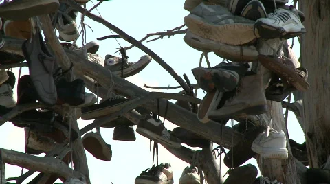 1379 - shoe tree in the middle of nowhere 動画素材 752066