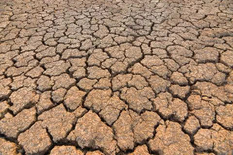 ทุ่งนาแผ่นดินแตกแสงแดดและยามเย็น. Foto stock