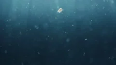 Amazing underwater scene with floating particles and plankton and light rays