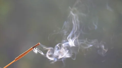 14-1 Stock Footage 111823789