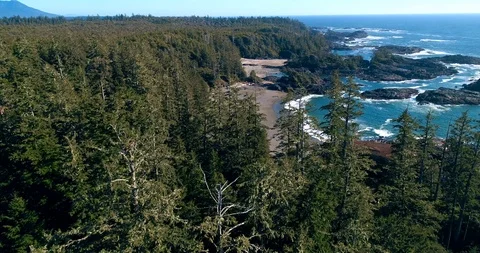 14 Stock Footage 91373246