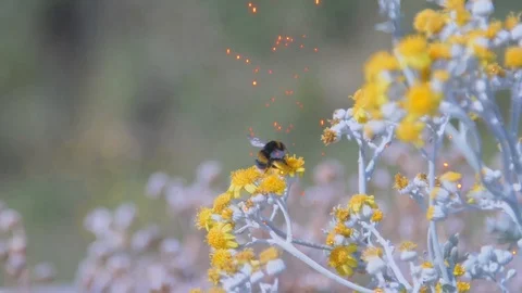 14-particle-spark-effects Stock Footage 126229821