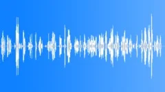 14 Week Old Baby Sound Effect