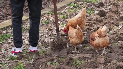 140326 6 Видео 330870397