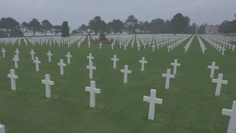 140921 tg QuickCut Stock Footage 88839508