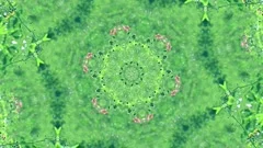 Abstract mandala greenery background, kaleidoscope video effect