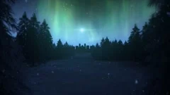 Northern Lights Landscape with Stars and Falling Snow Loop Background