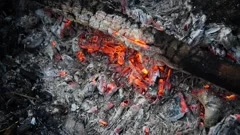 Fire with coals in the fire. Open fire, dying embers. Beautiful rich colors.