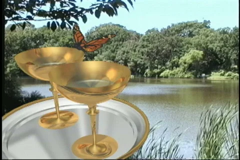 1427 butterfly wedding toast Stock Footage