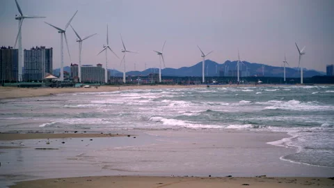 ????? Video stock 142766955