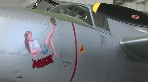 1440 B-17 Plane Decal Stock-Footage 12658425