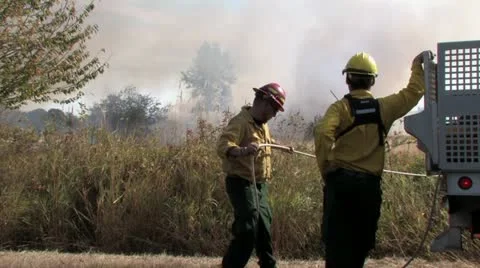 1440 Controlled Burn 14 Video stock 12380582