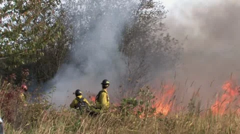 1440 Controlled Burn 15 Stock-Footage 12380659