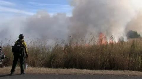 1440 Controlled Burn 22 Stock Footage 12380934