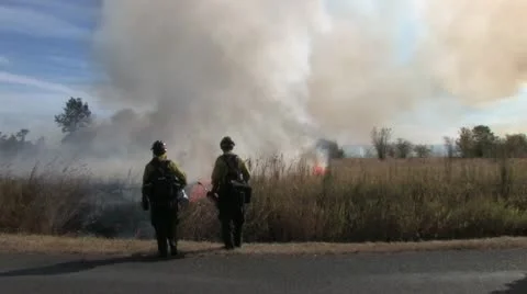 1440 Controlled Burn 25 스톡 동영상 12381024