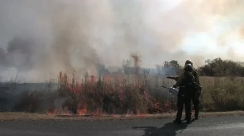 1440 Controlled Burn 26 Stock Footage 12386467