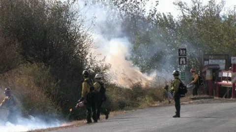 1440 Controlled Burn 33 Stock-Footage 12386799