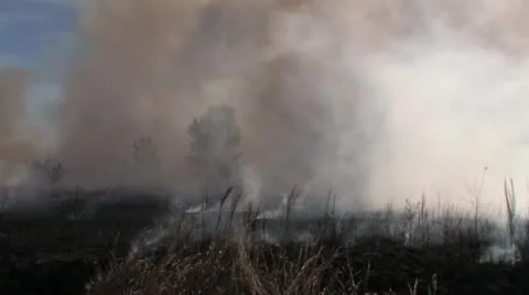 1440 Controlled Burn 34 Stock-Footage 12386783