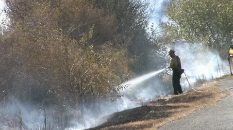 1440 Controlled Burn 42 Stock Footage 12387069