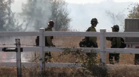 1440 Controlled Burn Stock-Footage 12381164