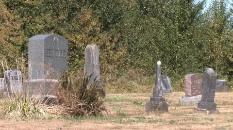 1440 Old Cemetery 3 Video stock 12374725