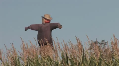 1440 Scarecrow Stock Footage 12375199
