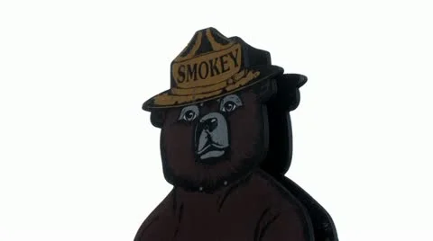 1440 Smokey the Bear 3 Stock Footage 11400626