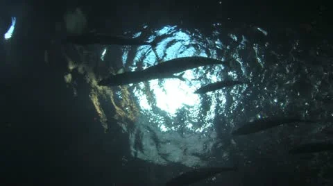 1440 Water Background 2 Stock Footage 10880009