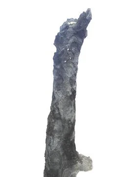 ตอไม้ถูกไฟเผาสีดํา Stock Photos