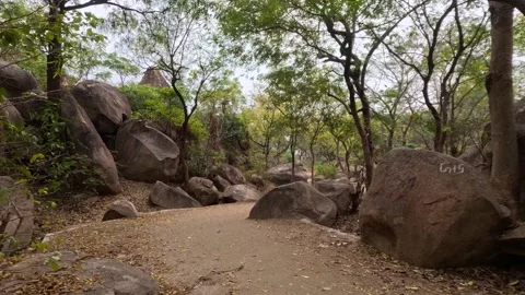 14.8.2026: Scenic Pathway Through Rocky Landscape, Mama Vagne Pahar, Birbhum, WB Vídeos de archivo 343734883
