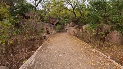 14.8.2026: Scenic Pathway Through Rocky Landscape at Mama Vagne Pahar, WB Vídeo Stock 343734895