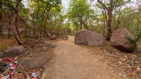 14.8.2026: Trekking Path Surrounded by Boulders and Forest, Mama Bhagne Pahar Vídeos de archivo 343666291