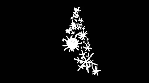 15 Christmas Trees Stock Footage 47997655