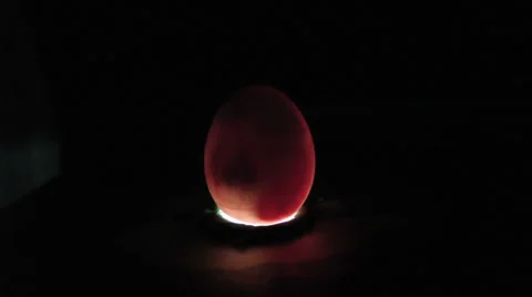 15 days old duck egg being candled with a torch lamp 動画素材 36016913
