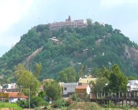 15-foot-long python scares devotees after slithering into temple in South India Vidéo 105155960